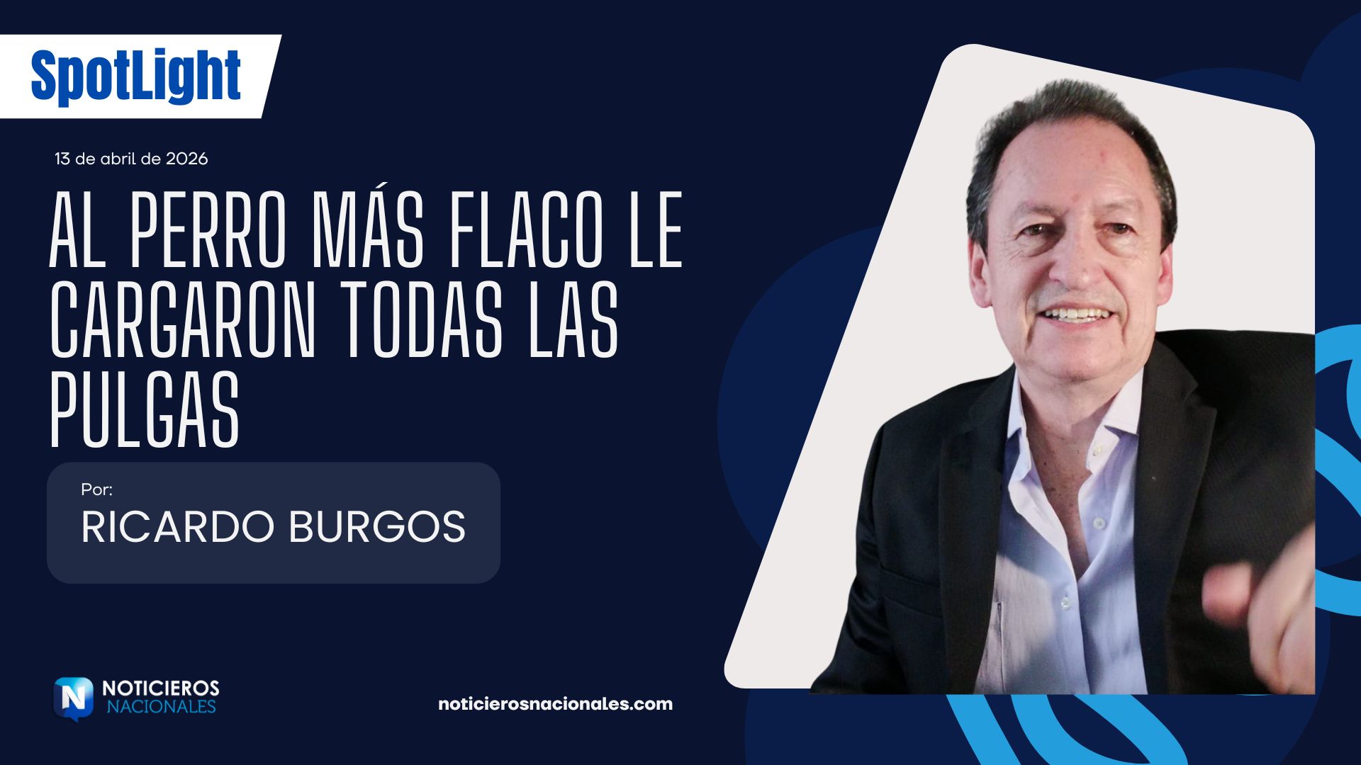 AL PERRO MÁS FLACO LE CARGARON TODAS LAS PULGAS